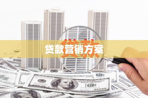 阿莲贷款营销方案